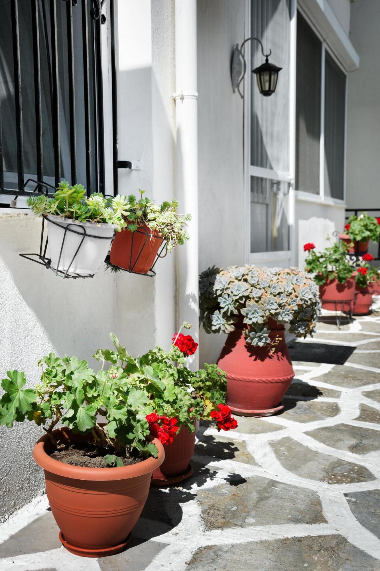 Rent House Daphne Apartment Kavála Ngoại thất bức ảnh